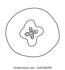 Apple in section top view doodle illustration. Vector apple sketch