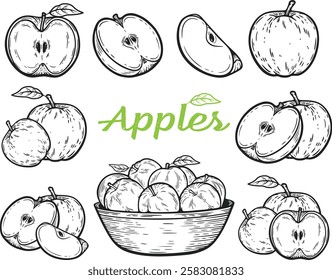 Apple set engraving fruit organic food vegetarian snack hand drawn illustration black white isolated vintage line art sketch silhouette graphic style poster label web