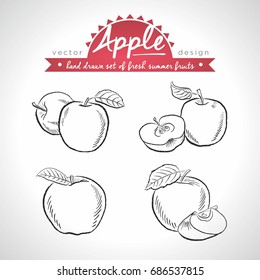 Apple. Set of fresh fruits, whole, half and bitten with leaf. Vector illustration. Isolated on white background
