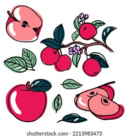 Apfelsatz: Apfel, Apfelscheibe, Blätter, Ast. Farbige Früchte. Lineare Vektorgrafik