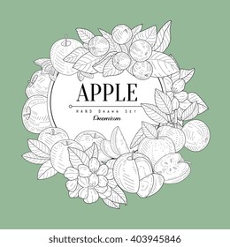 Apple Set Vintage Vector Hand Drawn Design Card