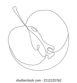 Apple silhouette in line art style. Cut apple half in simple outline. Minimalist vector continuous line drawn fruit
