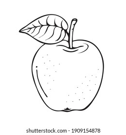 
Apple sketch. Beautiful cartoon black and white outline. Drawn vector fruit illustration for greeting cards, posters, recipes, culinary design, children's coloring pages.Isolated on white background.
