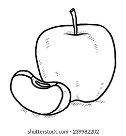 apple sketch / cartoon vector and illustration, black and white, hand drawn, sketch style, isolated on white background.