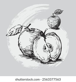 apple sketch hand drawn vector illustration