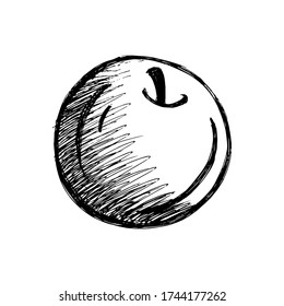 apple sketch on white background
