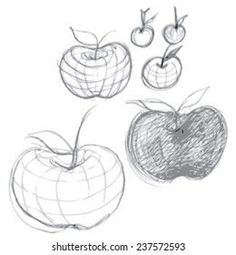 Apple Sketch Set - Vector Illustration.