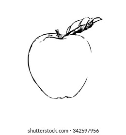 Apple Sketch Vector