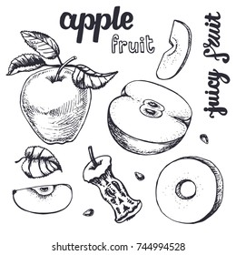 Apple sketch.Vector hand drawn vintage fruits . Sketch vector and lettering, vegetarian food illustration.Retro style. Slices,fruits.Organic background