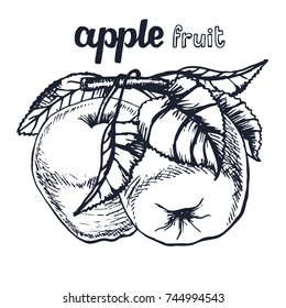 Apple sketch.Vector hand drawn vintage fruits . Sketch vector and lettering, vegetarian food illustration.Retro style. Slices,fruits.Organic background