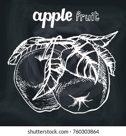 Apple sketch.Vector hand drawn vintage fruits . Sketch vector and lettering, vegetarian food illustration.Retro style. Slices,fruits.OrganicChalkboard background