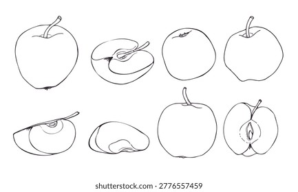 Apple and slice 
