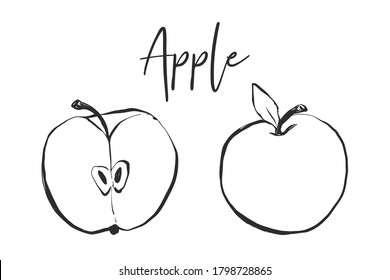 Apple slice and full apple. Black line fruits illustration set. Graphic vector sketch in hand drawn style. Fresh tropical elements on white background.