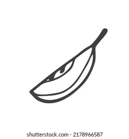 Apple slice illustration. Doodle simple apple sketch. Vector illustration