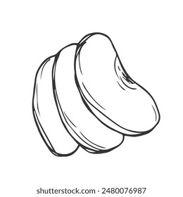 Apple slice ink sketch. Black line fruits illustration set. Graphic vector sketch in hand drawn style. Fresh tropical elements on white background.