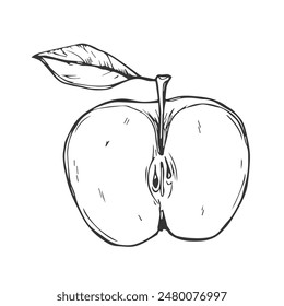In: Apple Slice Ink Sketch. Schwarze Linie Früchte Illustration Set. Grafische Vektorgrafik-Skizze im handgezeichneten Stil. Frische tropische Elemente auf weißem Hintergrund.