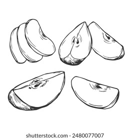 Apple slice ink sketch. Black line fruits illustration set. Graphic vector sketch in hand drawn style. Fresh tropical elements on white background.