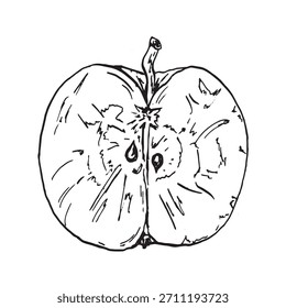 Apfelscheibe, einzelne Illustration auf weißem Hintergrund, handgezeichnete Skizze. Herbstfrucht für Logo, Menü, Bio-Poster, Muster. Gesundes Essen. Lineare Vektorgrafik. Schwarz-Weiß-Zeichnung