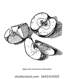 Apple Slice Vintage Hand Drawn Illustration – Botanical Fruit Engraving Sketch