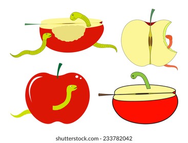 Apple Slices and Pieces with Worm