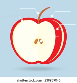 apple slices structure diagram isolated on background