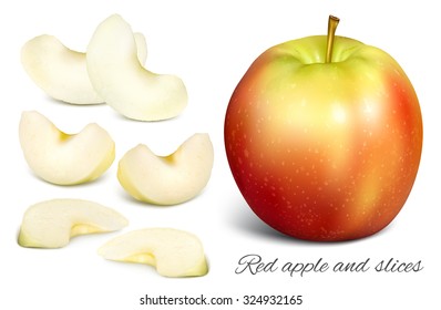 Apple and apple slices. Vector illustration.