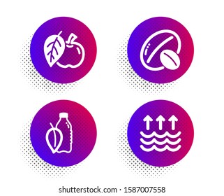 Apple, Soy nut and Water bottle icons simple set. Halftone dots button. Evaporation sign. Fruit, Vegetarian food, Mint leaf drink. Global warming. Nature set. Classic flat apple icon. Vector
