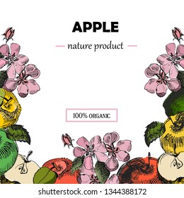 Apple square frame sketch.Vintage ink hand drawn vector of different apples, isolated on white background.Botanical illustration.Design template. Fresh fruit. Retro card.