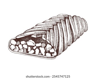 Apple strudel pastry hand drawn illustration