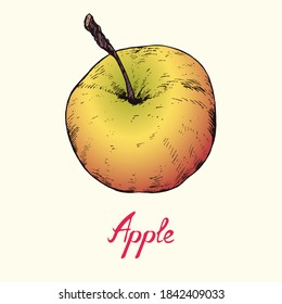 Vista superior de Apple, dibujo de doodle simple de colores con inscripción, estilo de gravidez