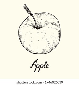 Apple top view, outline simple doodle drawing with inscription, gravure style