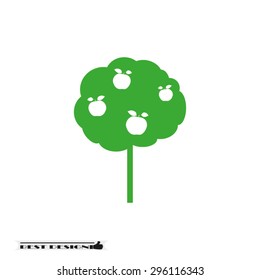  apple tree 