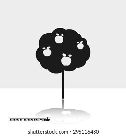  apple tree 