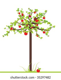 apple tree