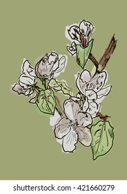 apple tree 