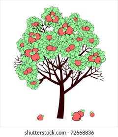 Apple tree