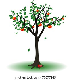 apple tree