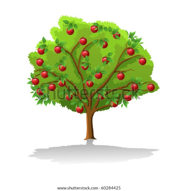 Apple Tree Stock Vector (Royalty Free) 60284425