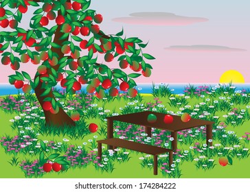 Apple. Tree with apples and a field with flowers overlooking the water and the sun