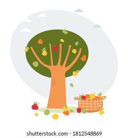 Apple tree with apples on it and on the ground, basket full of apples. Harvest season, harvest festival. Vector illustration in flat style. Hand drawing. Template design for poster, card, web, etc. 