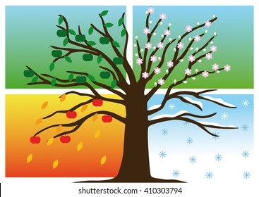 Apple tree in backgrounds with four seasons (winter, spring, summer, autumn) isolated on white background. Illustration of four seasons backgrounds isolated on white background.