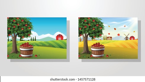 Apple tree and basket of apples in farm landscape