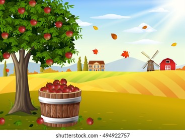 Apple tree and basket of apples in farm landscape at autumn