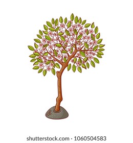 Apple tree blooming full of flower blossoms and big foliage icon. Illustration with forest, garden plant. Vector sketch spring or summer, ecology and environment symbol on isolated background.