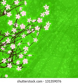 Apple tree blossom spring  card. Vector eps 8.