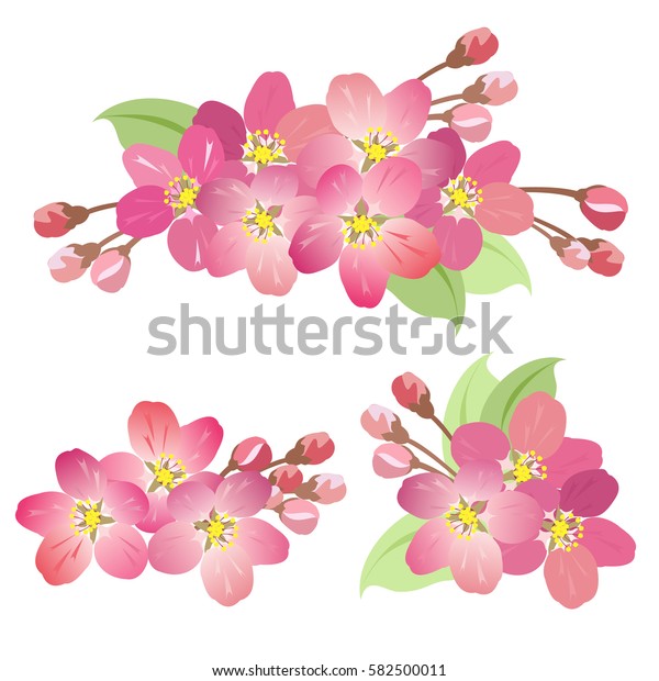 Apple Tree Blossoms Set Hand Drawn Stock Vector (Royalty Free ...