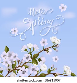 Apple tree blossoms and spring Lettering. Vector Illustration EPS10