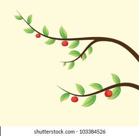 Apple Tree Branch