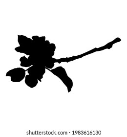 Apple tree branch in blossom black silhouette, vector illustration isolated on white background. Apple tree twig with flowers, leaves, buds. Springtime.