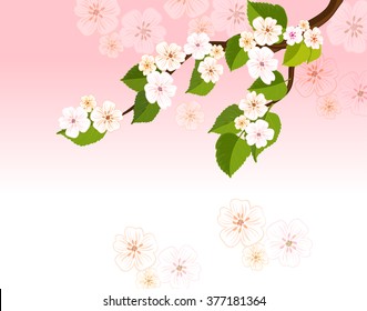 Apple tree branch blossoms on a pink background. Vector Illustration with spring flowers.